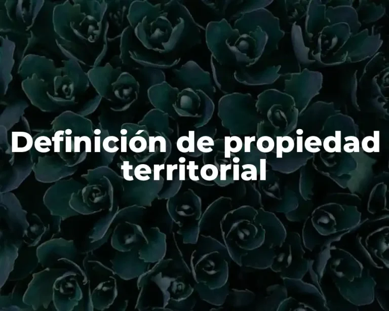 Definición de propiedad territorial