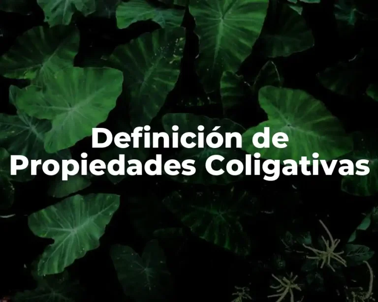 Definición de Propiedades Coligativas