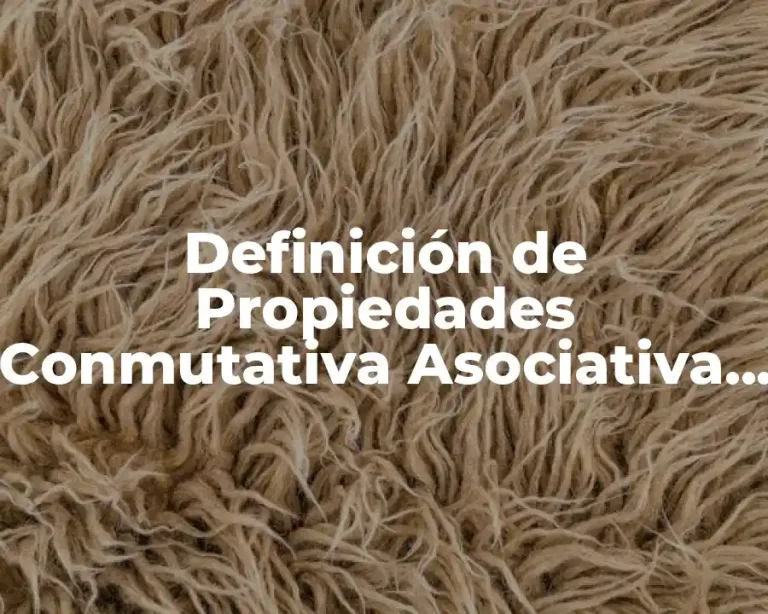 Definición de Propiedades Conmutativa Asociativa y Distributiva