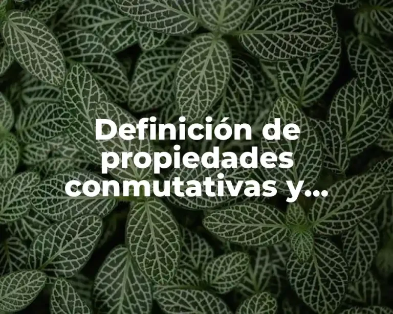 Definición de propiedades conmutativas y asociativas