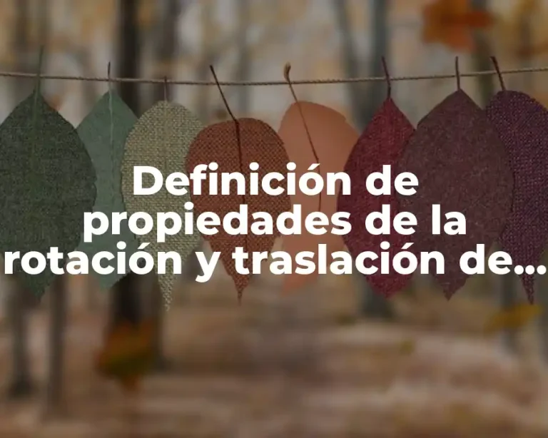 Definición de propiedades de la rotación y traslación de figuras