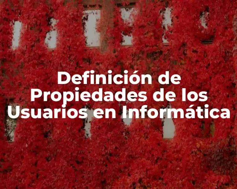 Definición de Propiedades de los Usuarios en Informática