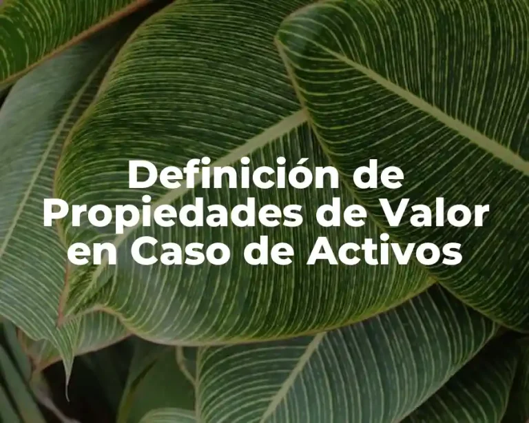 Definición de Propiedades de Valor en Caso de Activos