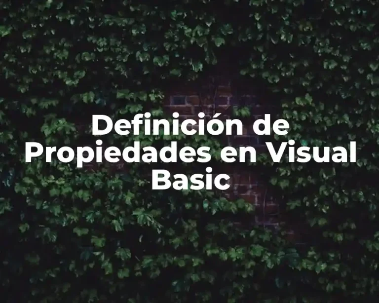 Definición de Propiedades en Visual Basic