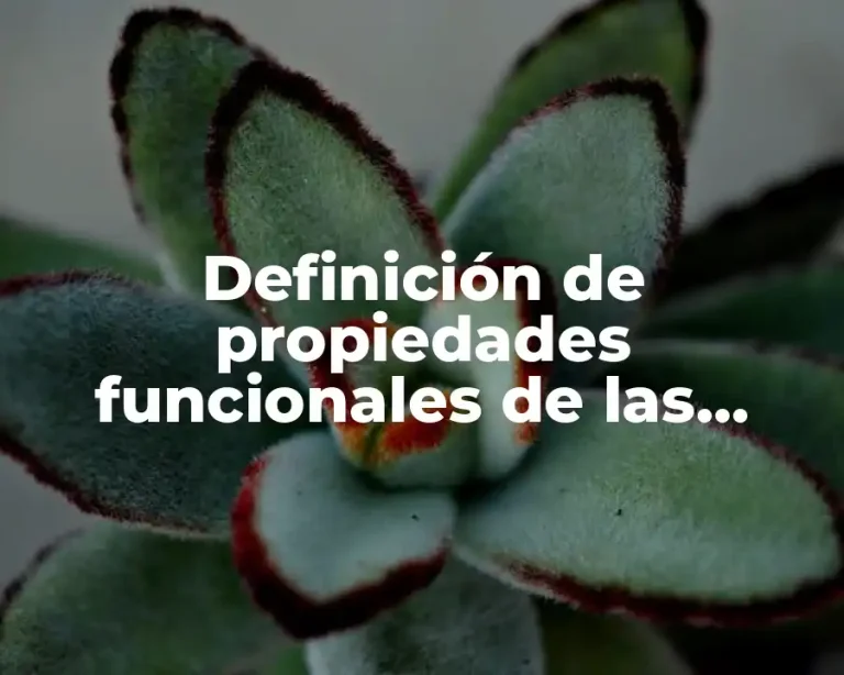 Definición de propiedades funcionales de las proteínas