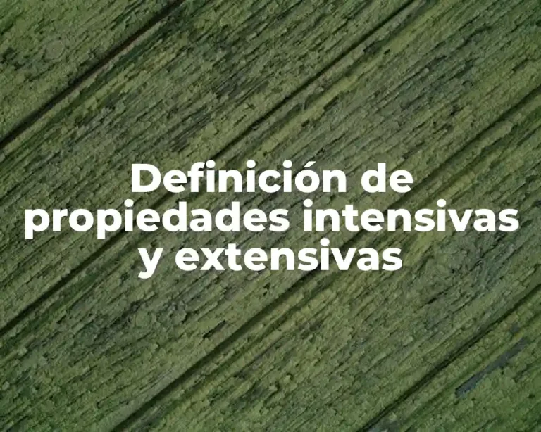 Definición de propiedades intensivas y extensivas