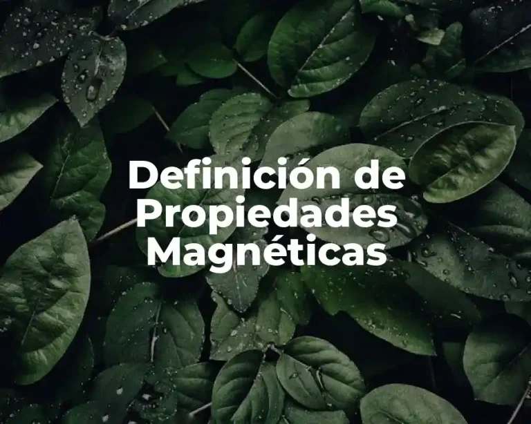 Definición de Propiedades Magnéticas