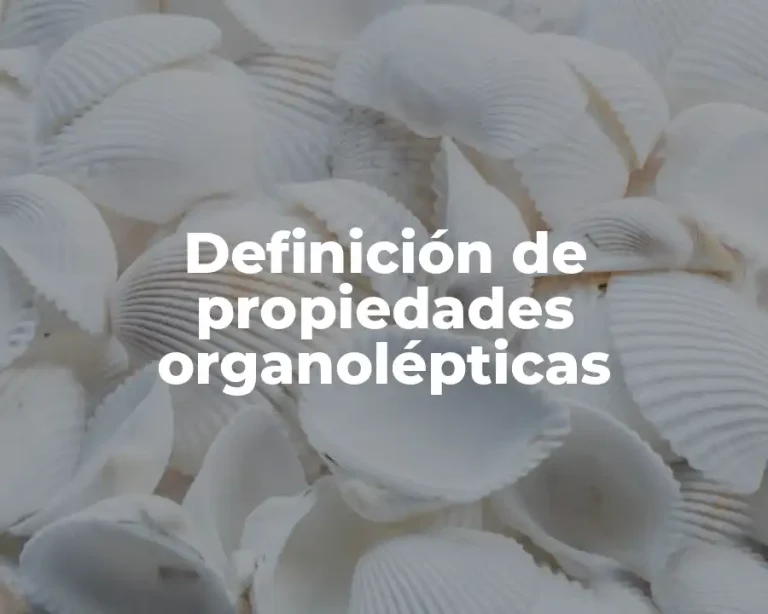 Definición de propiedades organolépticas