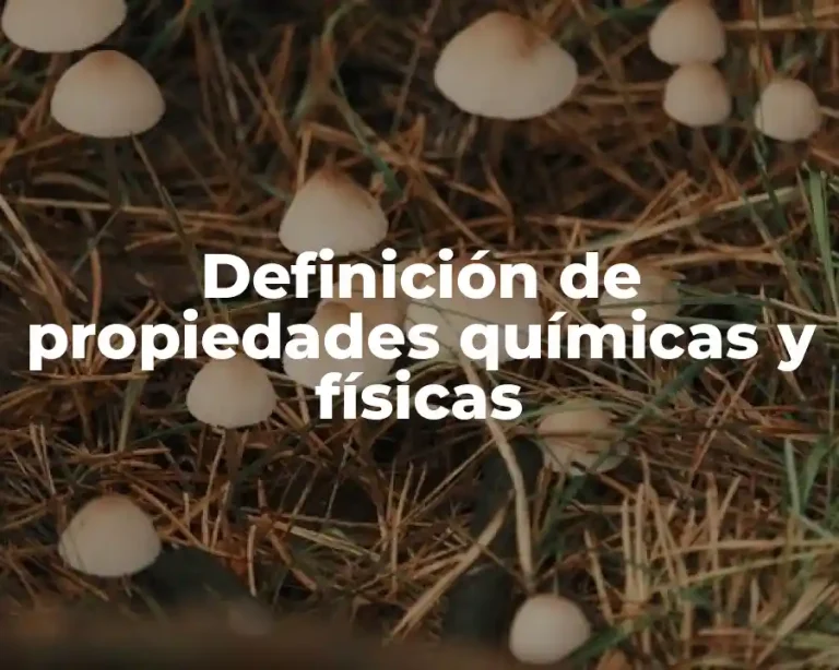 Definición de propiedades químicas y físicas