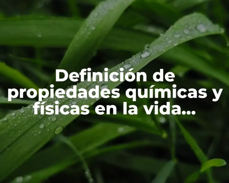 Definición de propiedades químicas y físicas en la vida cotidiana