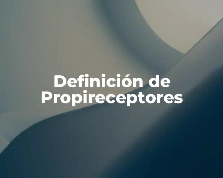 Definición de Propireceptores