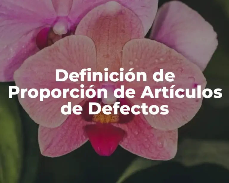 Definición de Proporción de Artículos de Defectos