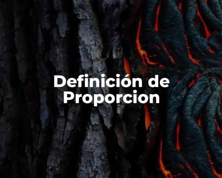 Definición de Proporcion