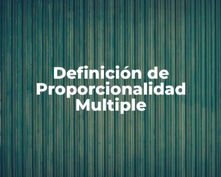 Definición de Proporcionalidad Multiple