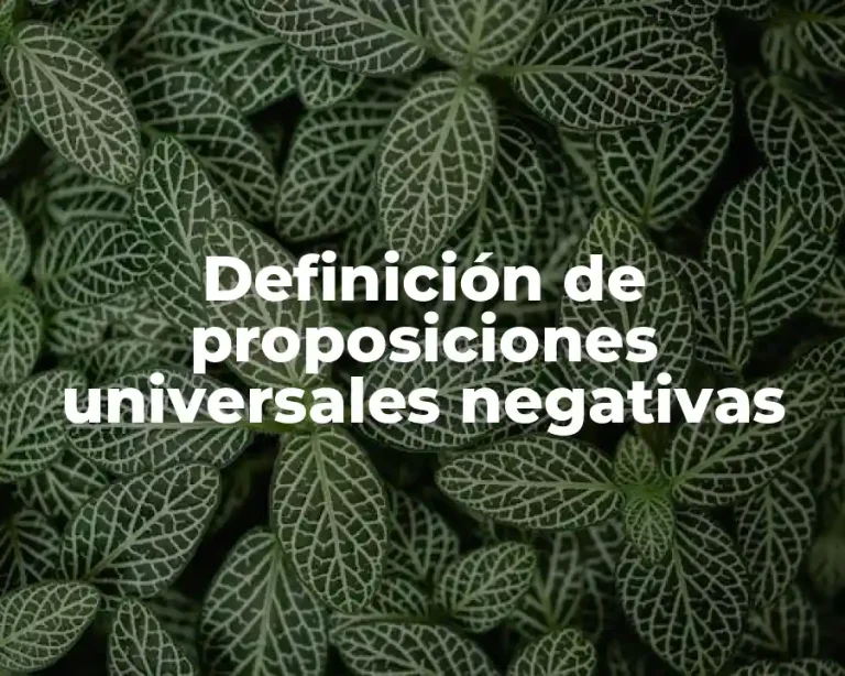 Definición de proposiciones universales negativas