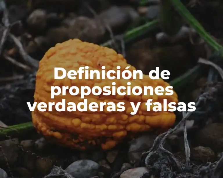 Definición de proposiciones verdaderas y falsas