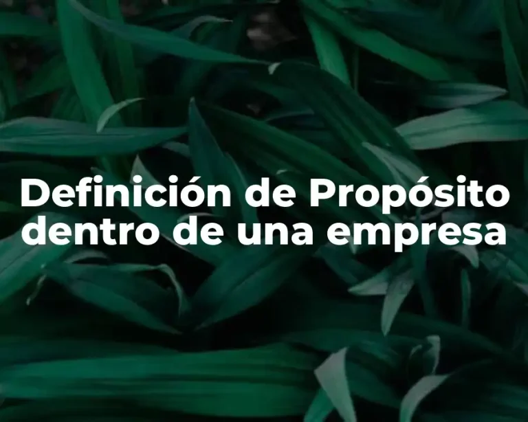 Definición de Propósito dentro de una empresa