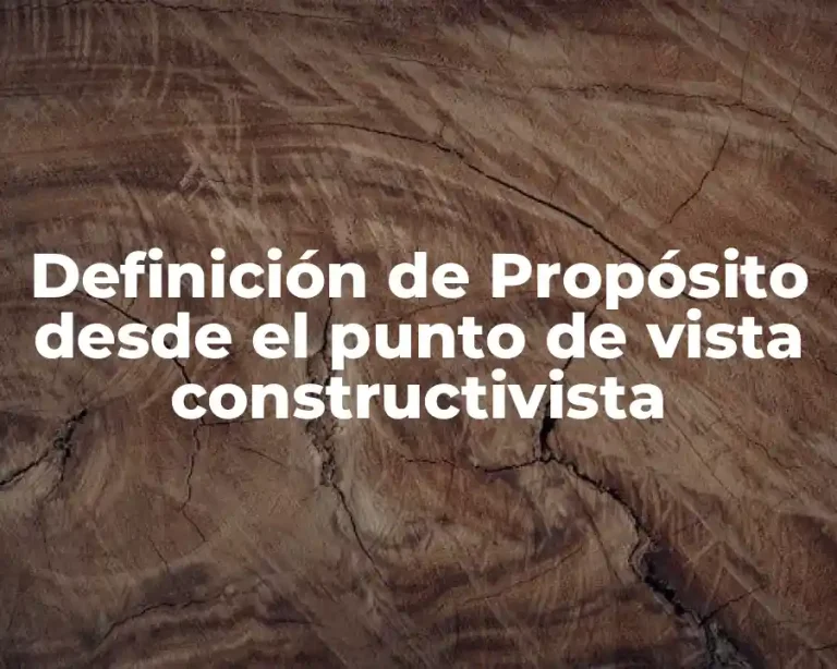 Definición de Propósito desde el punto de vista constructivista