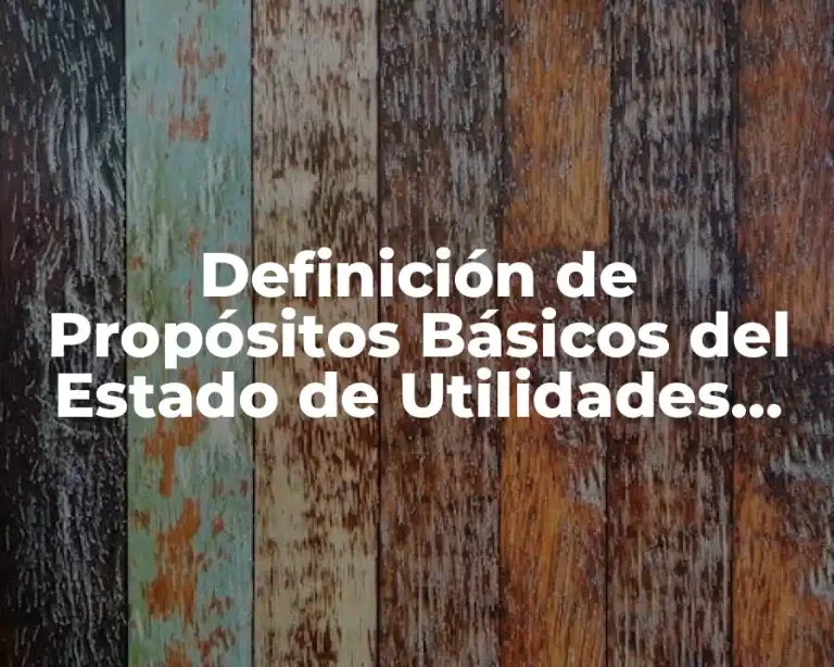 Definición de Propósitos Básicos del Estado de Utilidades Retenidas
