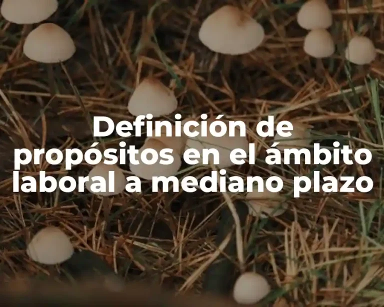 Definición de propósitos en el ámbito laboral a mediano plazo