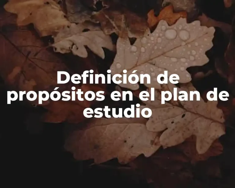 Definición de propósitos en el plan de estudio