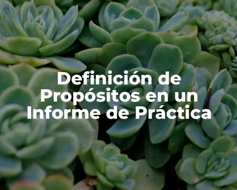 Definición de Propósitos en un Informe de Práctica
