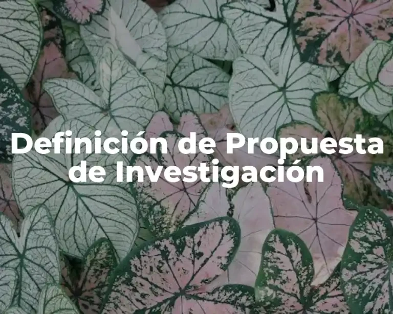 Definición de Propuesta de Investigación
