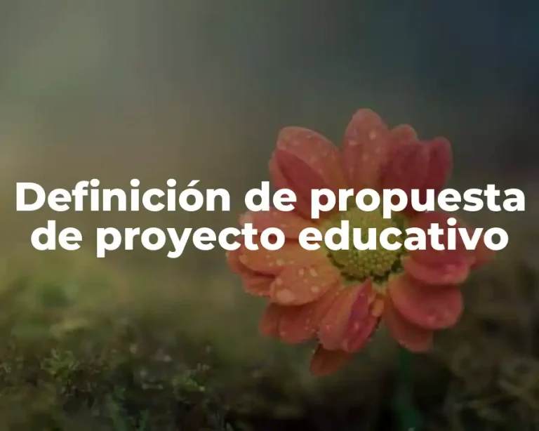 Definición de propuesta de proyecto educativo