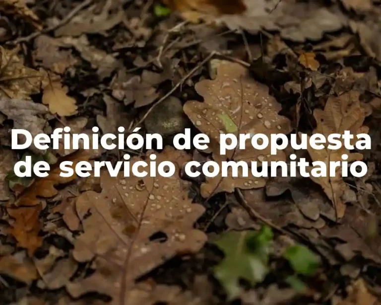 Definición de propuesta de servicio comunitario