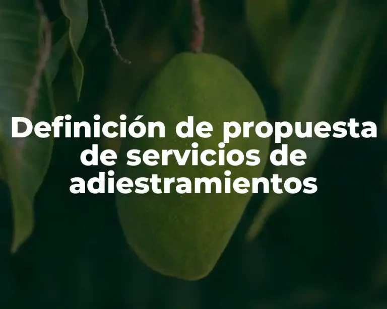 Definición de propuesta de servicios de adiestramientos