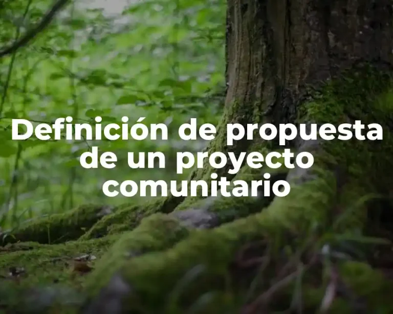 Definición de propuesta de un proyecto comunitario