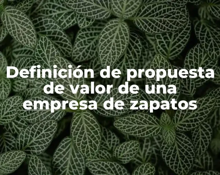 Definición de propuesta de valor de una empresa de zapatos