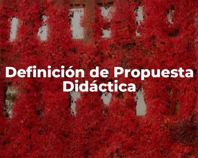 Definición de Propuesta Didáctica