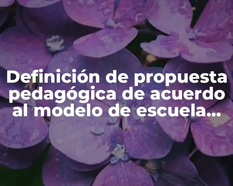 Definición de propuesta pedagógica de acuerdo al modelo de escuela inclusiva