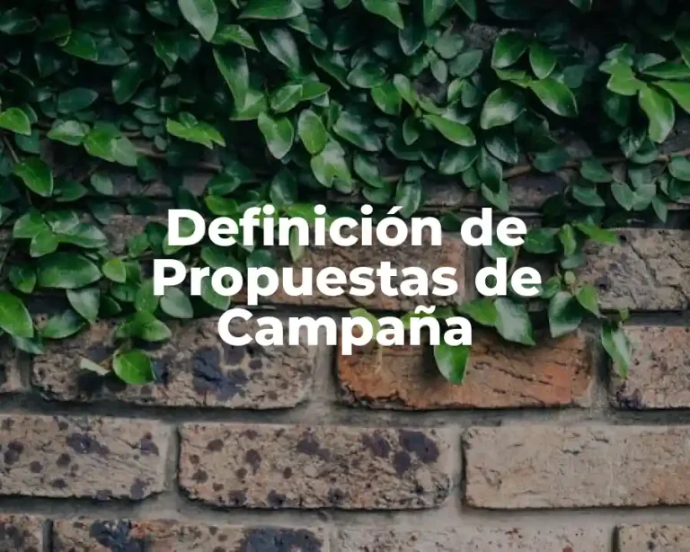 Definición de Propuestas de Campaña