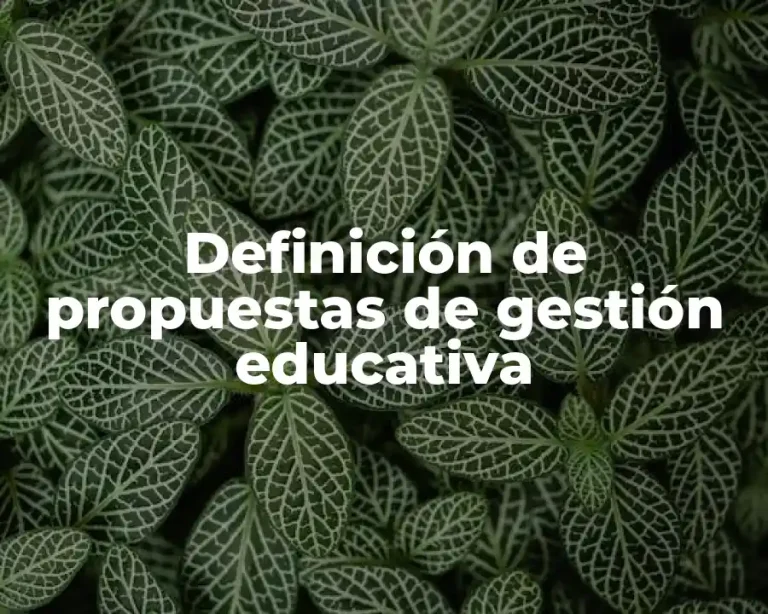 Definición de propuestas de gestión educativa