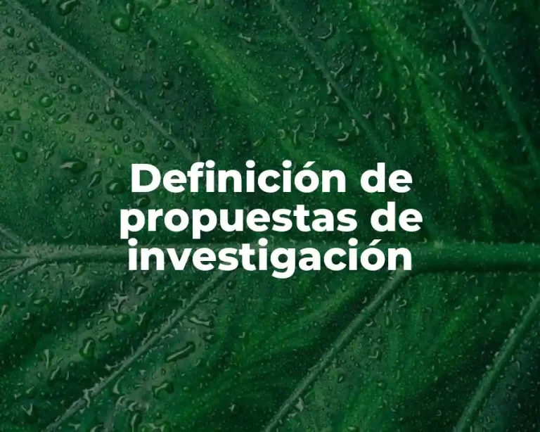 Definición de propuestas de investigación
