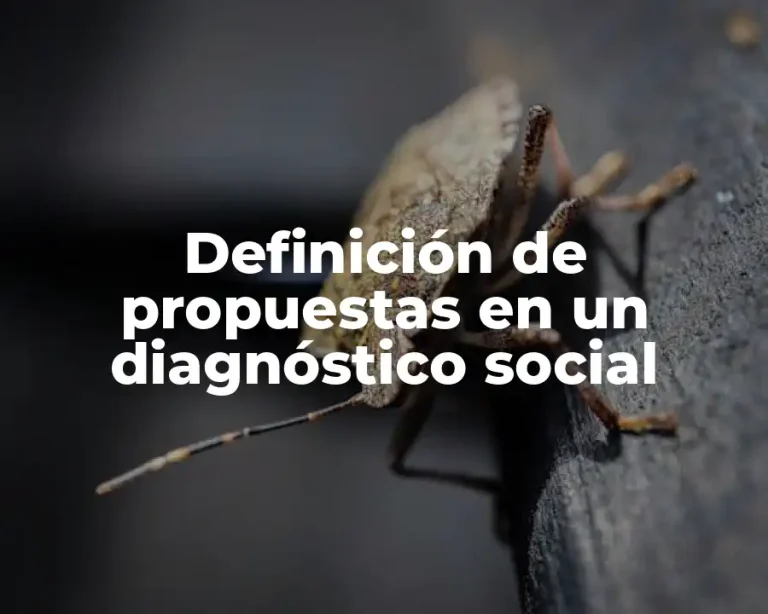 Definición de propuestas en un diagnóstico social