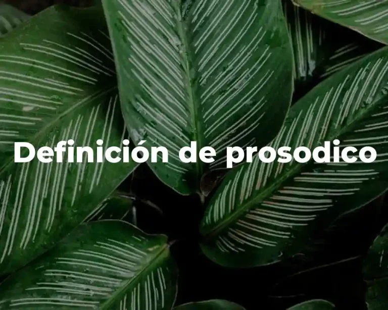 Definición de prosodico