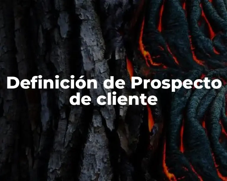 Definición de Prospecto de cliente