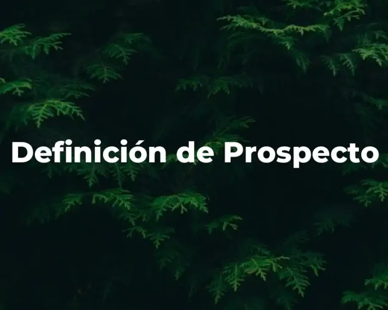 Definición de Prospecto