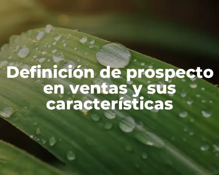 Definición de prospecto en ventas y sus características