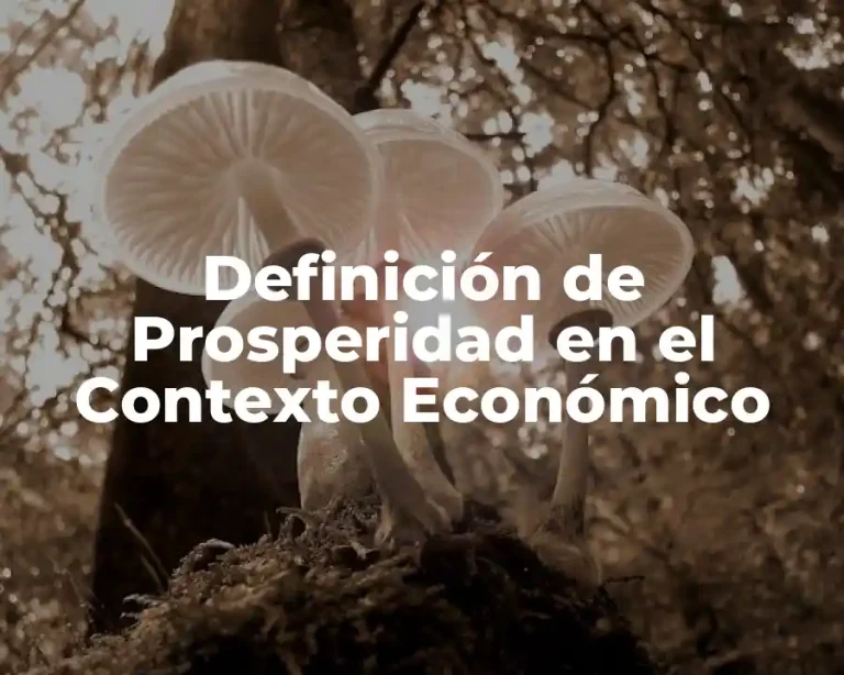 Definición de Prosperidad en el Contexto Económico