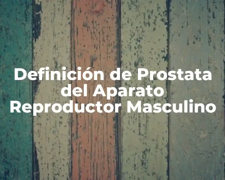 Definición de Prostata del Aparato Reproductor Masculino