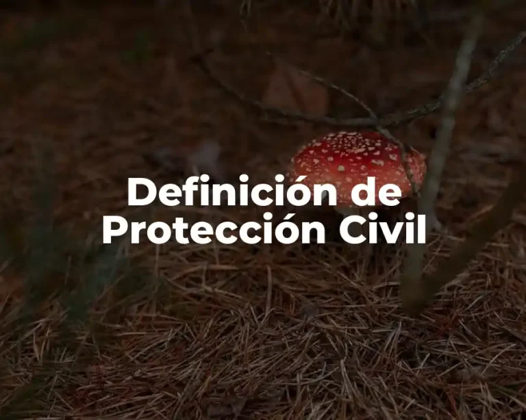 Definición de Protección Civil