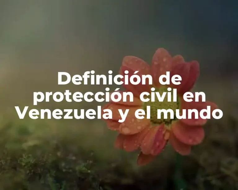 Definición de protección civil en Venezuela y el mundo