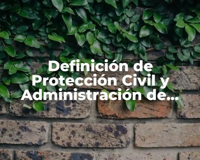 Definición de Protección Civil y Administración de Desastres