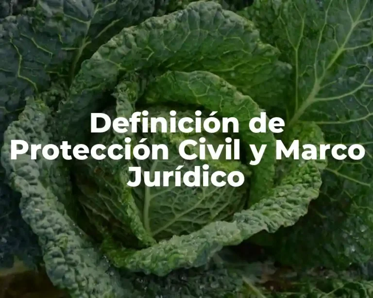 Definición de Protección Civil y Marco Jurídico