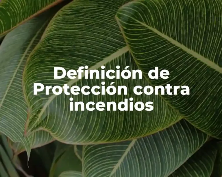 Definición de Protección contra incendios