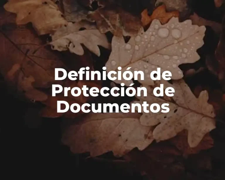 Definición de Protección de Documentos
